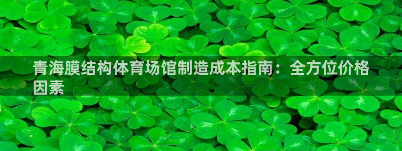 意昂体育3平台假的吗是真的吗：青海膜结构体育场馆制造