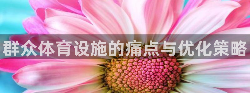 意昂体育3平台假的吗是真的吗：群众体育设施的痛点与优