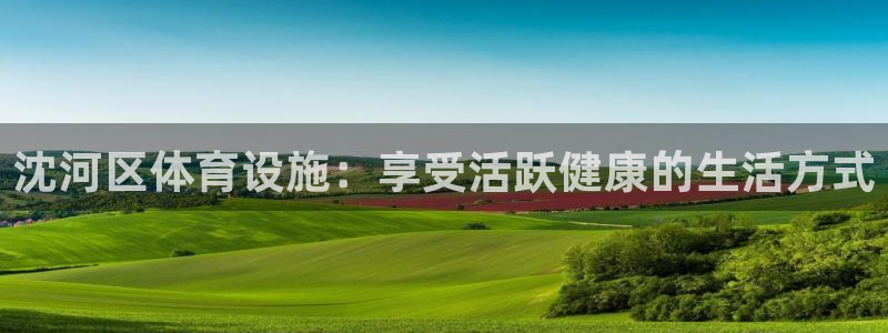 意昂体育3招商电话是多少啊：沈河区体育设施：享受活跃