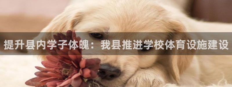 意昂体育3联系电话