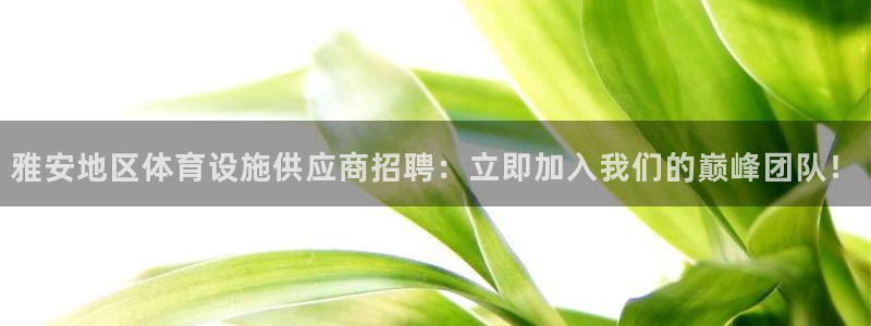 意昂体育3开户