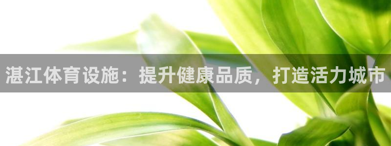 意昂体育3开户：湛江体育设施：提升健康品质，打造活力
