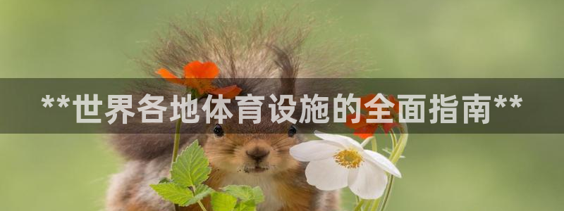 意昂3娱乐首页官网下载