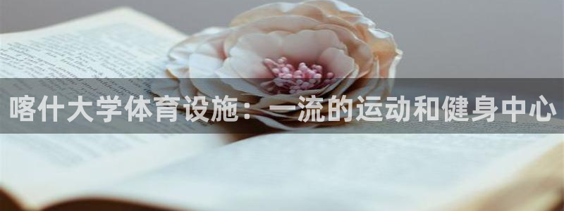 德国意昂3集团：喀什大学体育设施：一流的运动和健身中