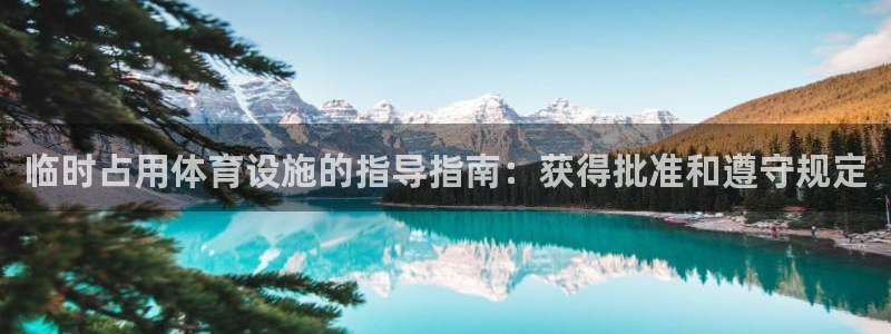 意昂3娱乐代理怎么样：临时占用体育设施的指导指南：获