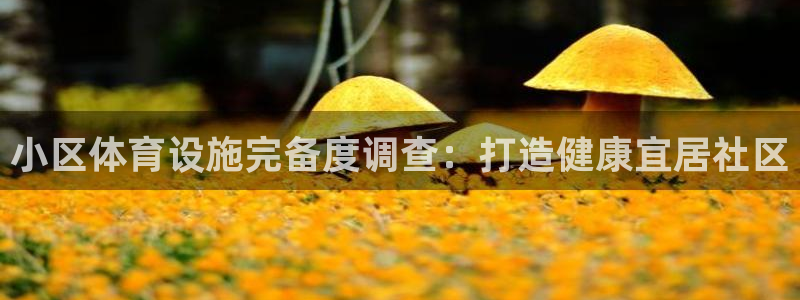 意昂体育3平台注册要钱吗是真的吗：小区体育设施完备度