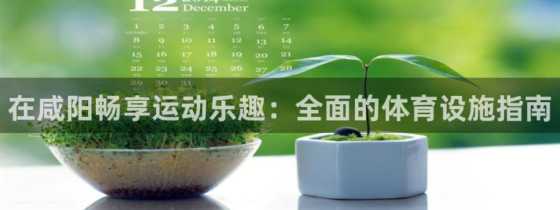 意昂体育3招商电话是多少号码：在咸阳畅享运动乐趣：全