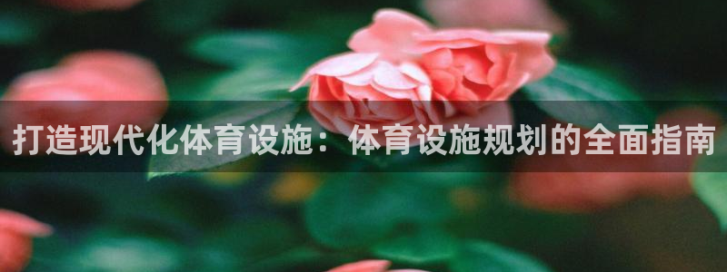 意昂平台体育