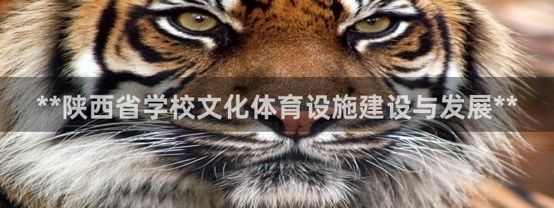 意昂体育3招商电话号码查询是多少