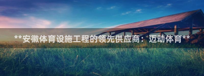 海南意昂体育3：**安徽体育设施工程的领先供应商：迈