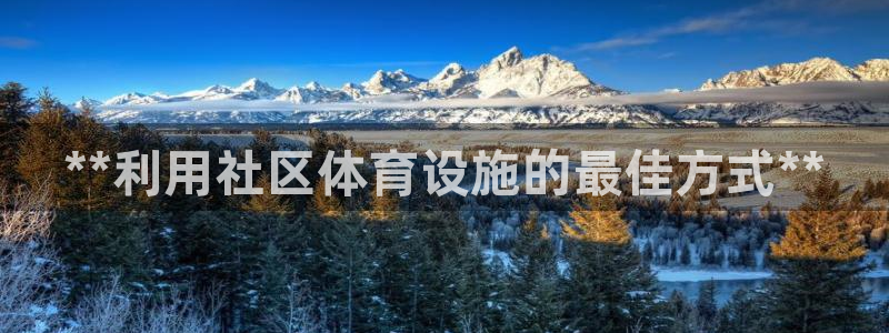 意昂3集团logo