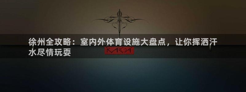 意昂体育3招商：徐州全攻略：室内外体育设施大盘点，让