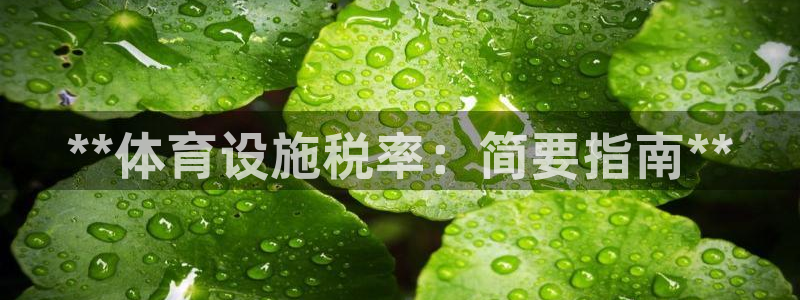 意昂体育3软件：**体育设施税率：简要指南**