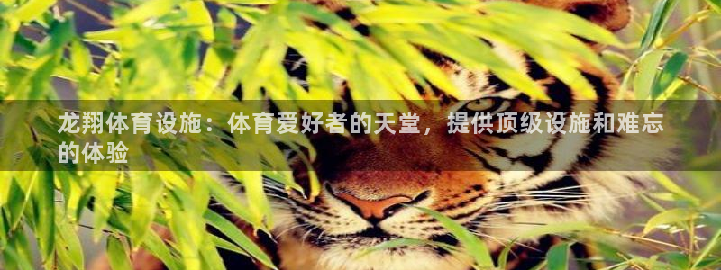 意昂3娱乐：龙翔体育设施：体育爱好者的天堂，提供顶级设施和难