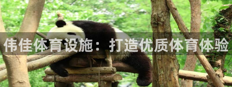 意昂3新能源