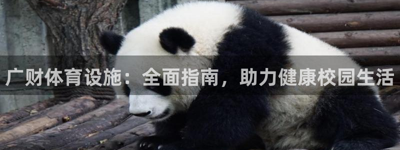 意昂3娱乐代理怎么样：广财体育设施：全面指南，助力健康校园生