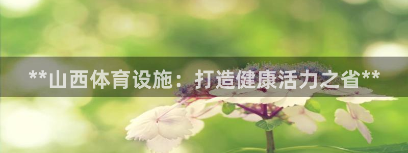 意昂体育3招商电话：**山西体育设施：打造健康活力之省**