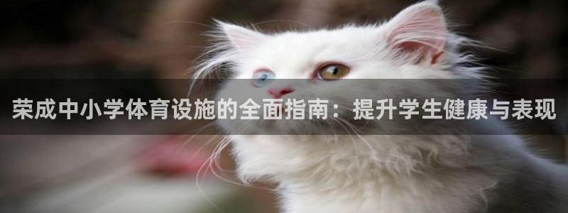 海南意昂体育3：荣成中小学体育设施的全面指南：提升学