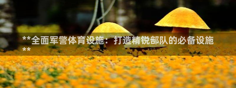意昂体育3注册：**全面军警体育设施：打造精锐部队的