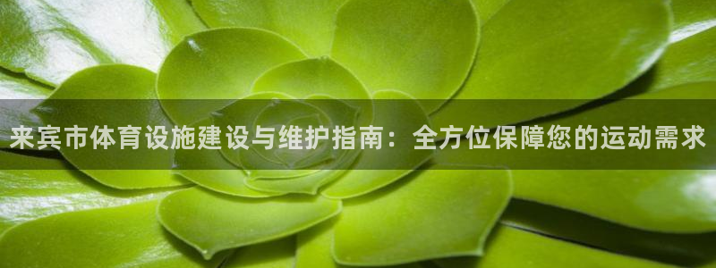 意昂3娱乐代理怎么样