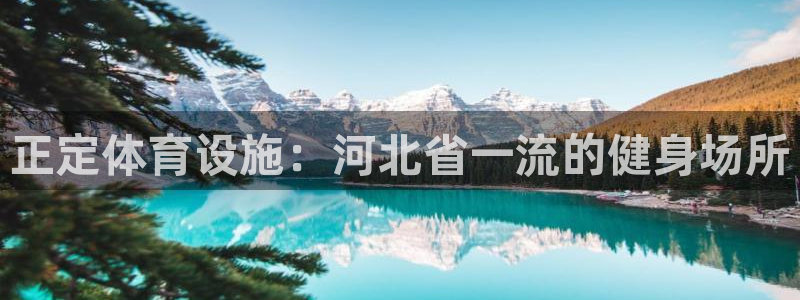 意昂体育3平台注册要钱吗安全吗：正定体育设施：河北省