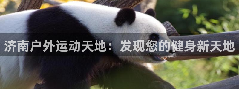 意昂体育3招商电话地址查询：济南户外运动天地：发现您