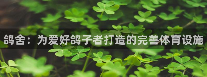 意昂平台体育