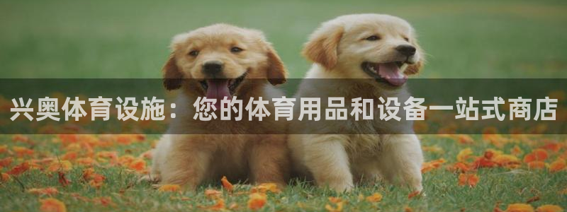 意昂体育3招商电话地址查询：兴奥体育设施：您的体育用品和设备