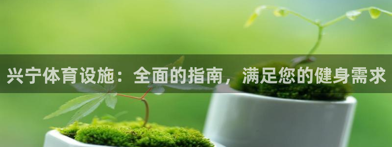 意昂3娱乐网站：兴宁体育设施：全面的指南，满足您的健身需求