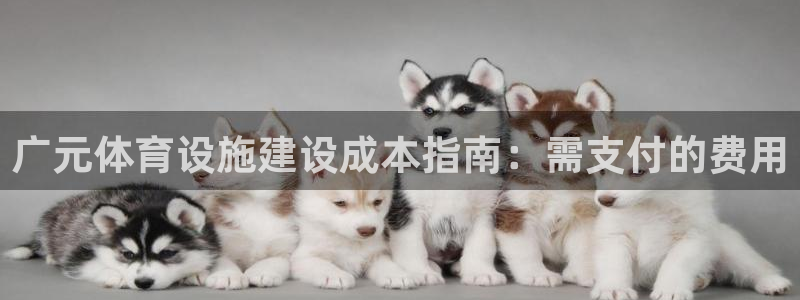 意昂体育3平台假的吗是真的吗吗
