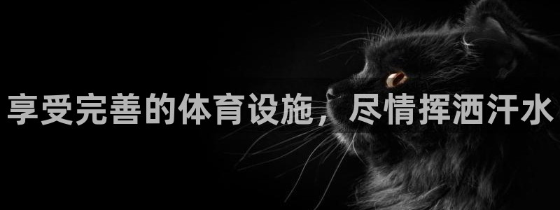 意昂3集团简介