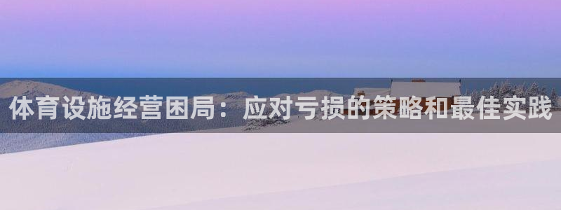 意昂体育3软件：体育设施经营困局：应对亏损的策略和最