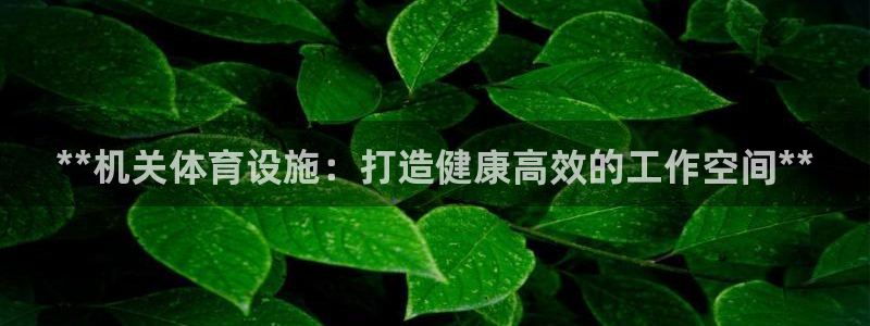 意昂3官网
