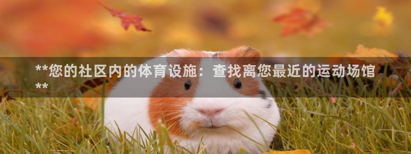 意昂体育3开户