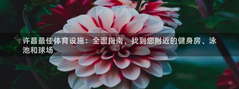 意昂3娱乐代理怎么样