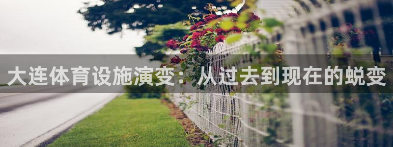 意昂体育3招商电话是多少号码：大连体育设施演变：从过去到现在