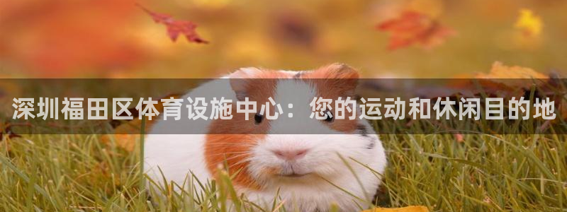 意昂3五金厂：深圳福田区体育设施中心：您的运动和休闲目的地 