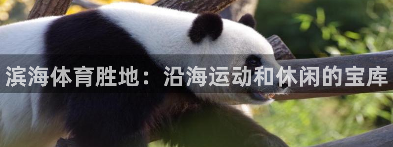 意昂体育3招商电话地址：滨海体育胜地：沿海运动和休闲的宝库