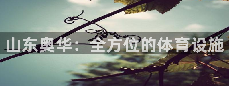 意昂3娱乐下载