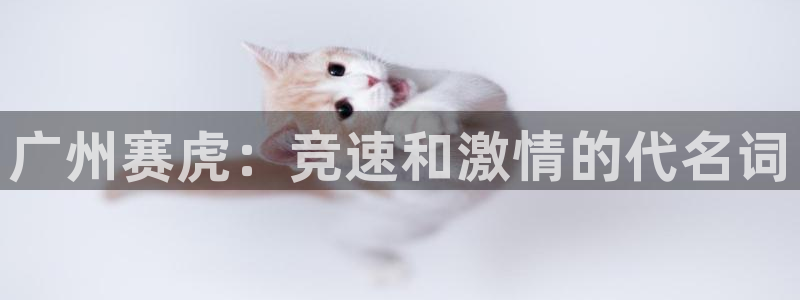 意昂体育3平台是正规平台吗知乎