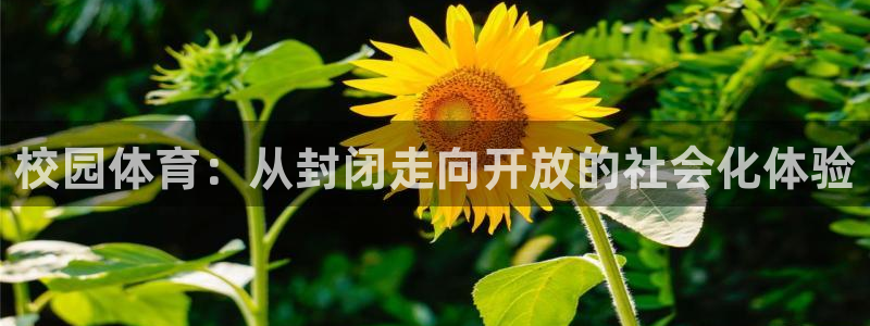 意昂3神州