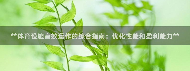 意昂3官方：**体育设施高效运作的综合指南：优化性能