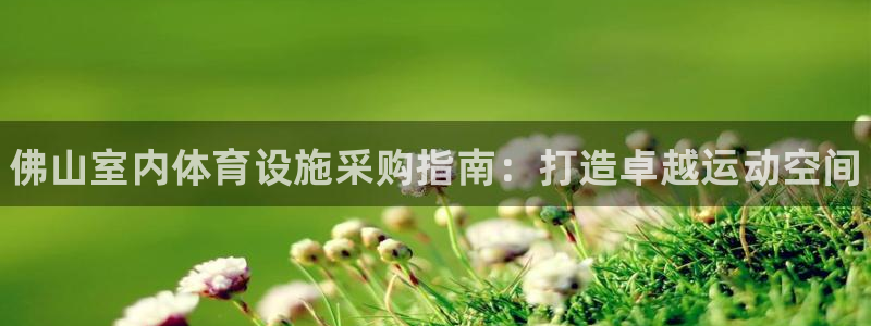 意昂体育3开户：佛山室内体育设施采购指南：打造卓越运