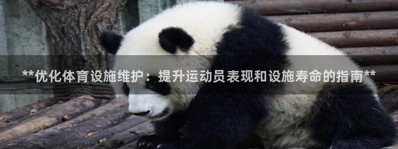 意昂平台体育：**优化体育设施维护：提升运动员表现和设施寿命