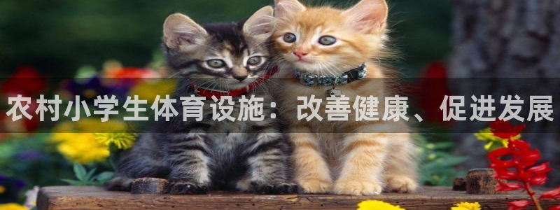 意昂体育3平台假的吗是真的吗：农村小学生体育设施：改善健康、