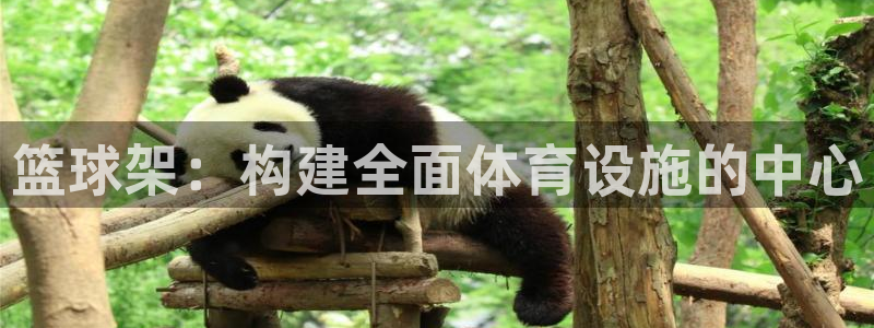 意昂3官网