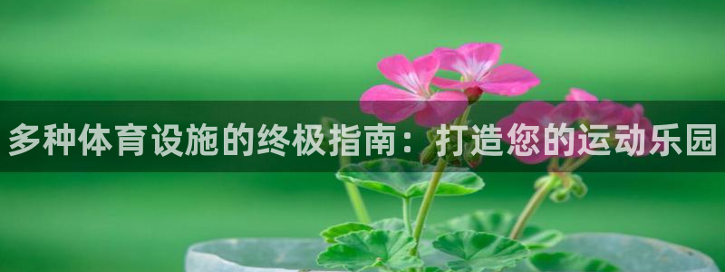 意昂3集团简介：多种体育设施的终极指南：打造您的运动乐园 