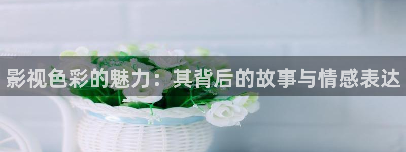 平民影院伦理片：影视色彩的魅力：其背后的故事与情感表达