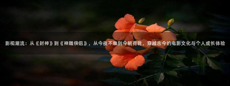 天天平民影院：影视潮流：从《封神》到《神雕侠侣》，从今夜不寐到今朝有我，穿越古今的电影文化与个人成长体验