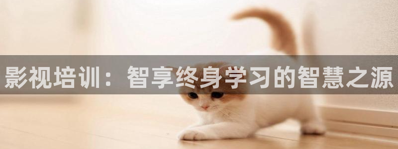 平民影院理论片：影视培训：智享终身学习的智慧之源